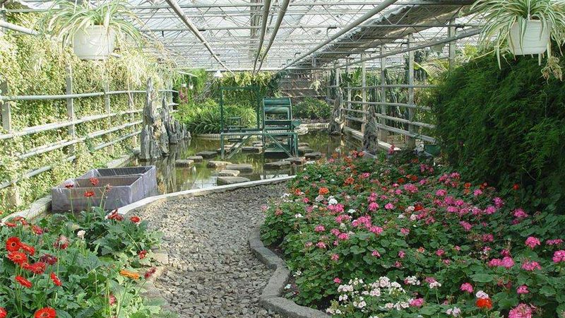 大棚蔬菜病虫害具有以下特点：