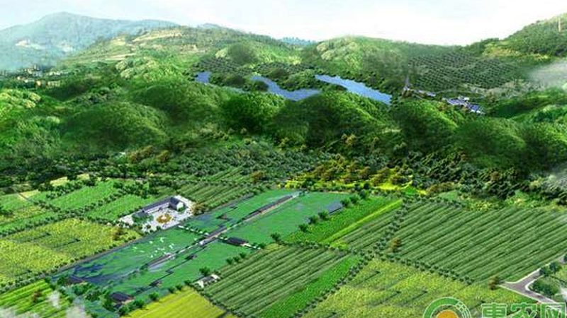 安化县茶业有限公司