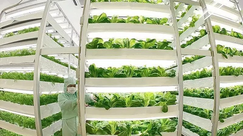 智慧农业种植系统定制方案：打造高效可持续的农田生态