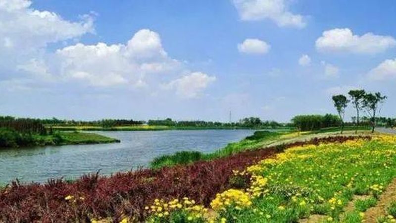 农业项目定制方案：精准农业的未来之路