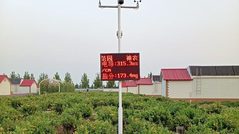四川农产品品牌策划，如何打造地域特色与市场竞争力