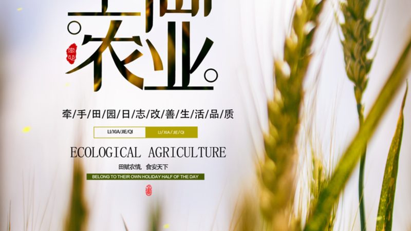 小标题：避坑指南，谨防陷阱